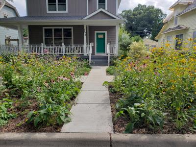 minnesota native landscapes